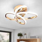 Eidisuny LED Ceiling Light Simple Curved Small