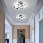 Eidisuny LED Ceiling Light Simple Curved Small