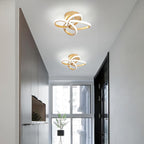 Eidisuny LED Ceiling Light Simple Curved Small