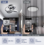Eidisuny LED Ceiling Light Simple Curved Small