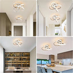 Eidisuny LED Ceiling Light Simple Curved Small