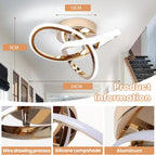 Eidisuny LED Ceiling Light Simple Curved Small