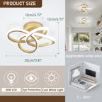 Eidisuny LED Ceiling Light Simple Curved Small