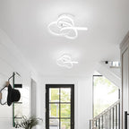 Eidisuny LED Ceiling Light Simple Curved Small