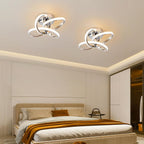 Eidisuny LED Ceiling Light Simple Curved Small