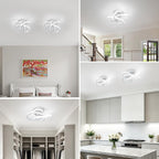 Eidisuny LED Ceiling Light Simple Curved Small
