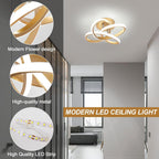 Eidisuny LED Ceiling Light Simple Curved Small