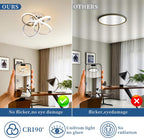 Eidisuny LED Ceiling Light Simple Curved Small