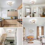 Eidisuny LED Ceiling Light Simple Curved Small