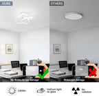 Eidisuny LED Ceiling Light Simple Curved Small