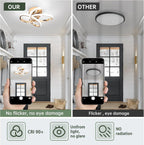 Eidisuny LED Ceiling Light Simple Curved Small