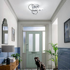 Eidisuny LED Ceiling Light Simple Curved Small