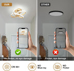 Eidisuny LED Ceiling Light Simple Curved Small
