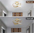 Eidisuny LED Ceiling Light Simple Curved Small