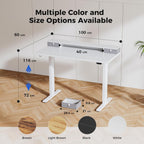Electric Adjustable Height Desk with 2 Drawers 120