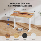 Electric Adjustable Height Desk with 2 Fabric Drawers