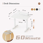 Electric Height-Adjustable Desk with Movable Monitor Stand 100