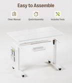 Electric Height Adjustable Standing Desk