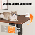 Electric Height Adjustable Standing Desk Sit Stand