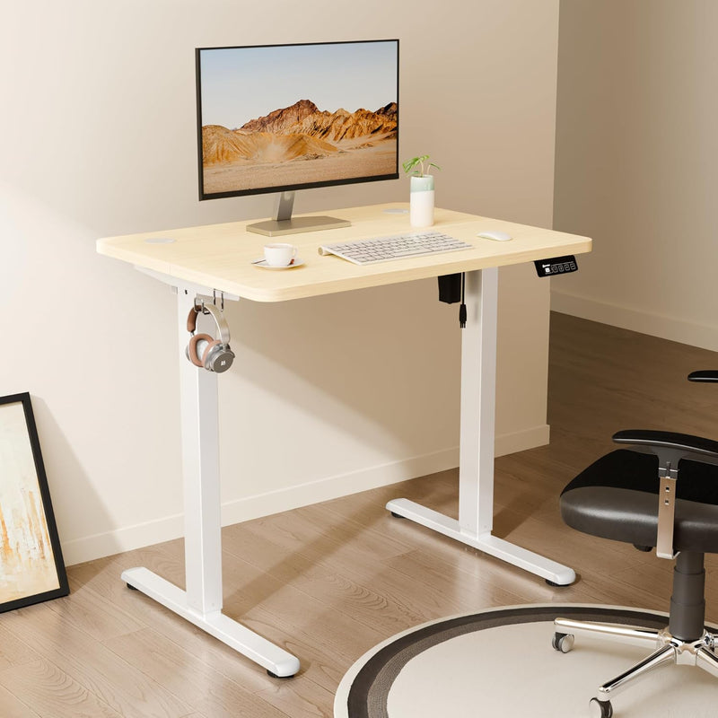 Electric Height Adjustable Standing Desk Sit Stand