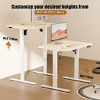 Electric Height Adjustable Standing Desk Sit Stand