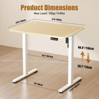 Electric Height Adjustable Standing Desk Sit Stand