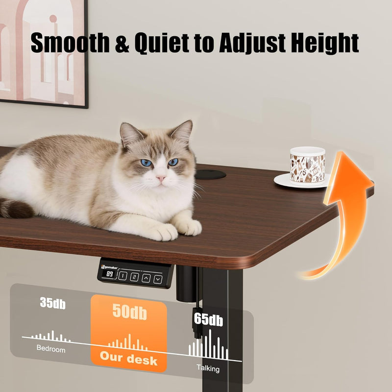 Electric Height Adjustable Standing Desk Sit Stand