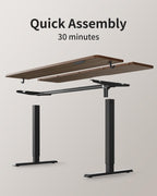 Electric Standing Desk