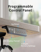 Electric Standing Desk