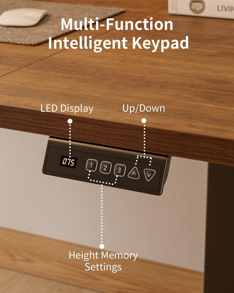 Electric Standing Desk