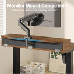 Electric Standing Desk