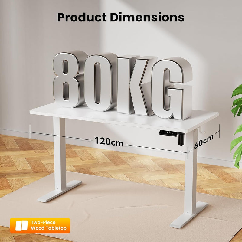 Electric Standing Desk