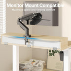 Electric Standing Desk