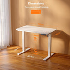 Electric Standing Desk