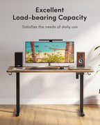 Electric Standing Desk