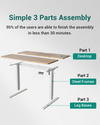 Electric Standing Desk 100 X 60CM Height