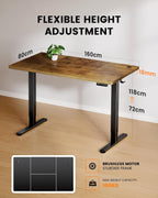 Electric Standing Desk 100KG