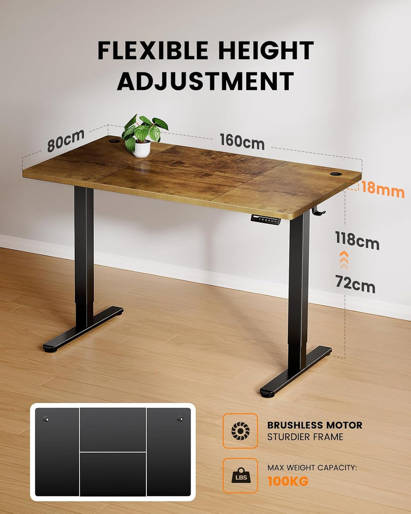 Electric Standing Desk 100KG