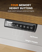 Electric Standing Desk 100KG