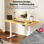 Electric Standing Desk 120 X 60 One Piece