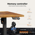 Electric Standing Desk Height