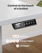 Electric Standing Desk 160 X 80CM Height