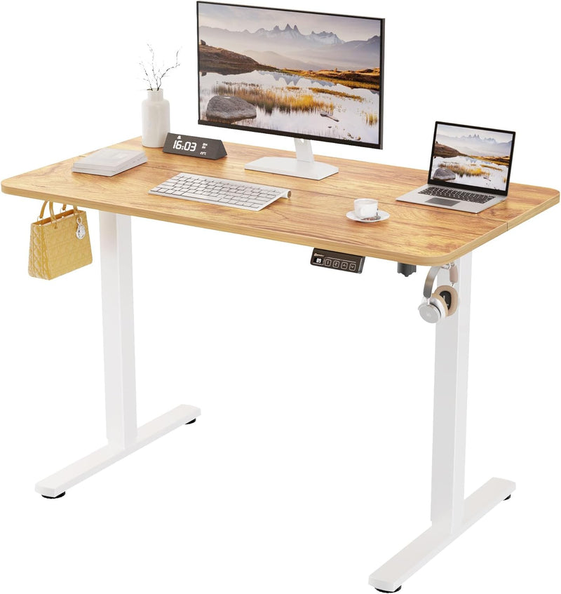 Electric Standing Desk 2 Memory Heights