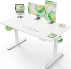 Electric Standing Desk 4 Memory