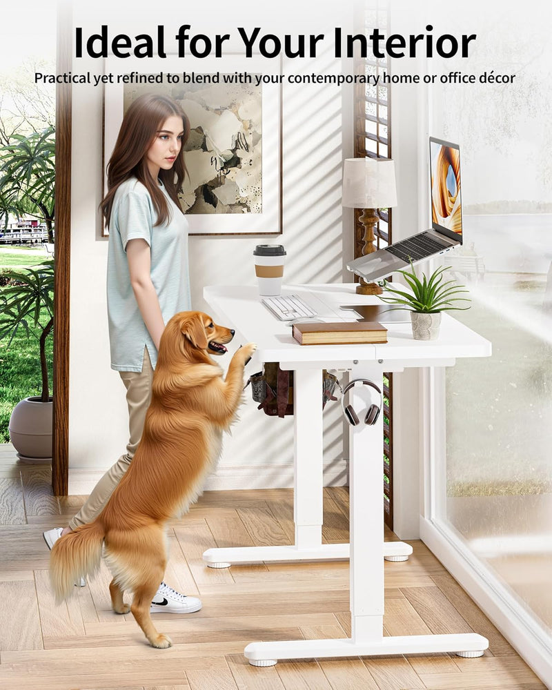 Electric Standing Desk Gaming 3 Memory