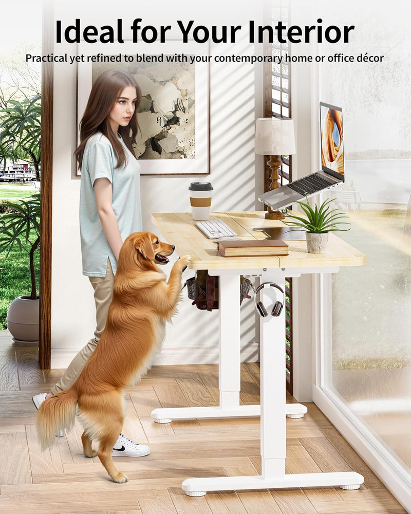 Electric Standing Desk Gaming 3 Memory