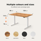 Electric Standing Desk Height