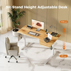 Electric Standing Desk Height