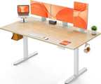 Electric Standing Desk 4 Memory