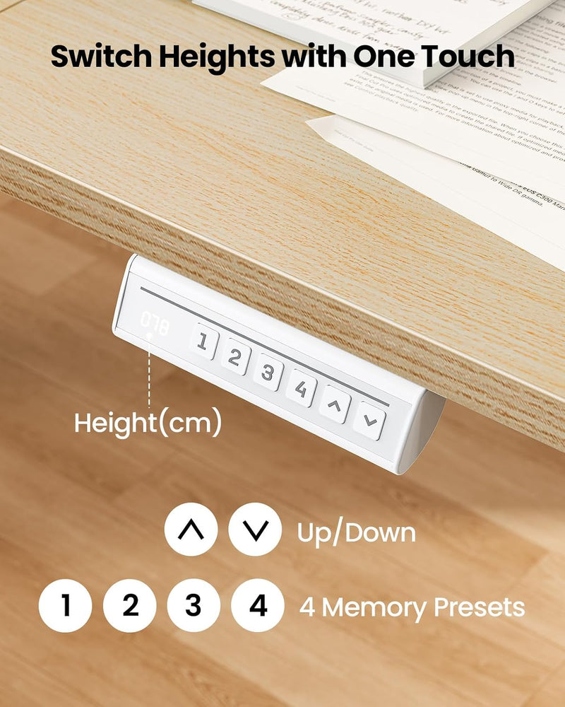 Electric Standing Desk 4 Memory